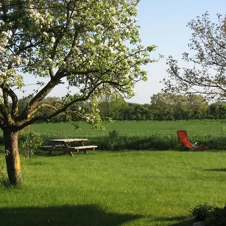 Apartment And Nature *